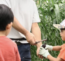 大澤農園さん Paritaly パリタリー